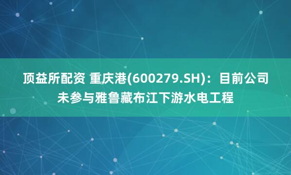 顶益所配资 重庆港(600279.SH)：目前公司未参与雅鲁藏布江下游水电工程