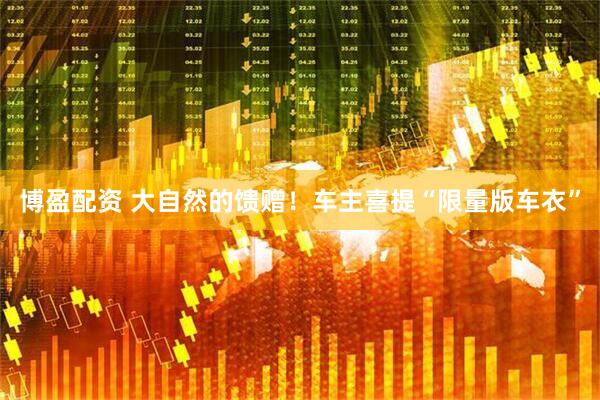 博盈配资 大自然的馈赠！车主喜提“限量版车衣”