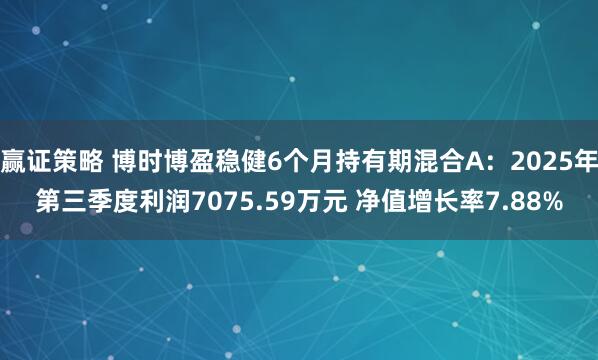 赢证策略 博时博盈稳健6个月持有期混合A:2025年第三季度利润7075.59万元 净值增长率7.88%