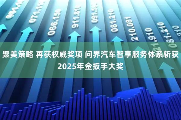 聚美策略 再获权威奖项 问界汽车智享服务体系斩获2025年金扳手大奖